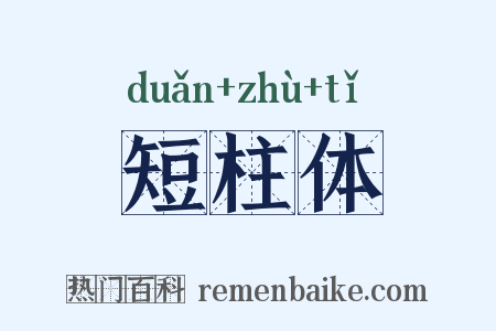 短柱体是什么意思的图片